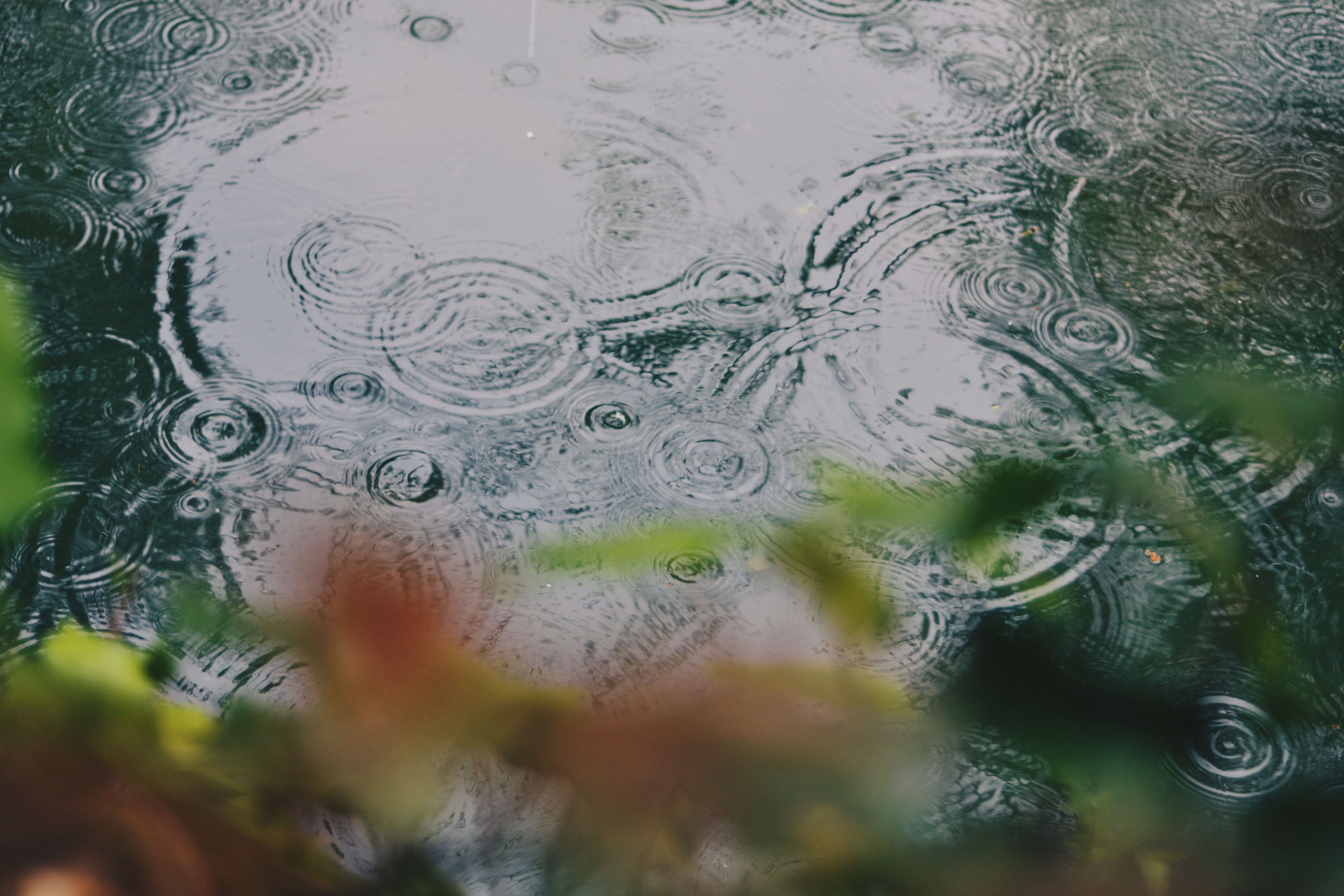 rain